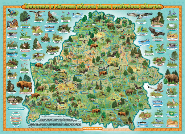 картинка ЖИВОТНЫЕ И РАСТЕНИЯ КРАСНОЙ КНИГИ. КАРТА ДЛЯ ДЕТЕЙ