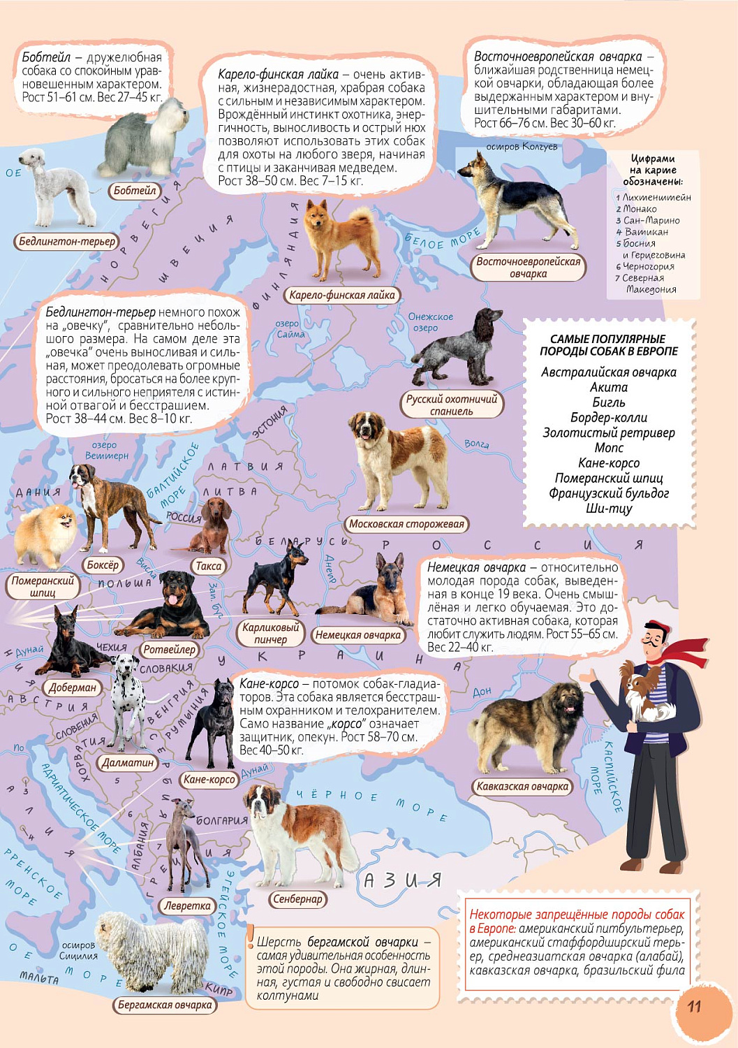 ДОМАШНИЕ ПИТОМЦЫ. СОБАКИ. АТЛАС