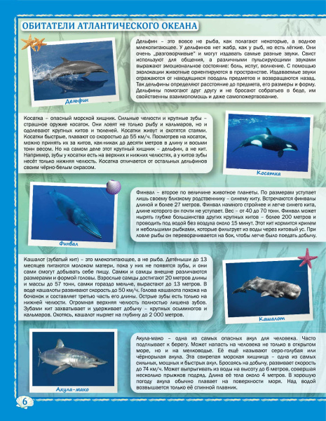 картинка ОБИТАТЕЛИ МОРЕЙ И ОКЕАНОВ. АТЛАС