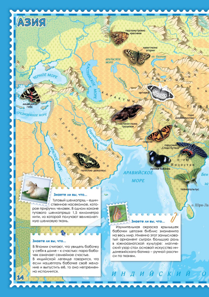 картинка БАБОЧКИ МИРА. АТЛАС С НАКЛЕЙКАМИ