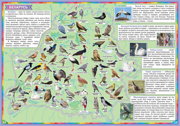 Атлас «Птицы мира»