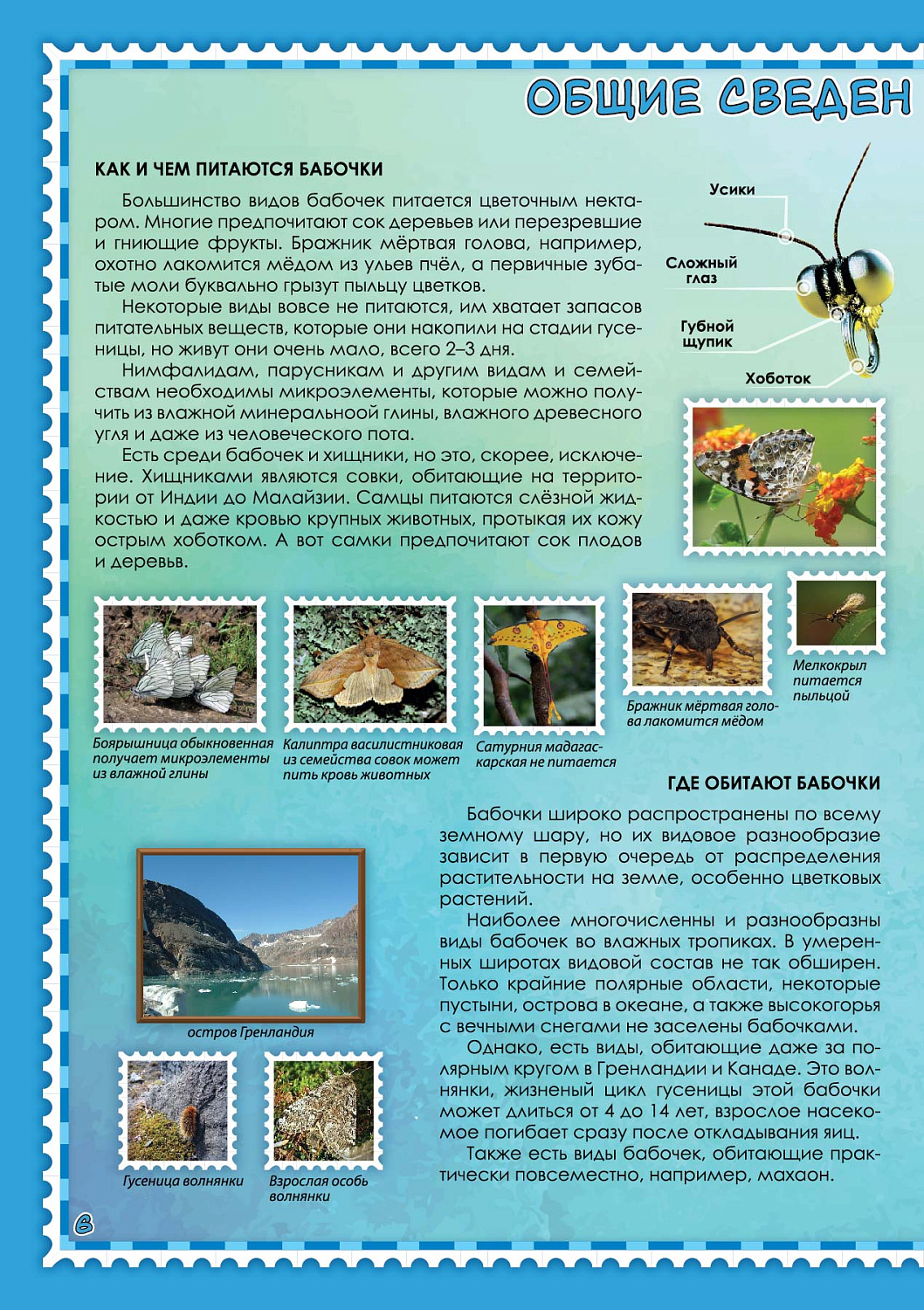 БАБОЧКИ МИРА. АТЛАС С НАКЛЕЙКАМИ