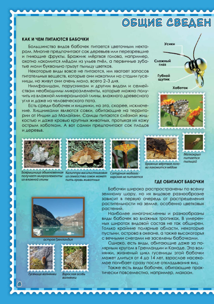 картинка БАБОЧКИ МИРА. АТЛАС С НАКЛЕЙКАМИ