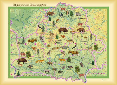 ПРИРОДА БЕЛАРУСИ. ФОРМАТ А3