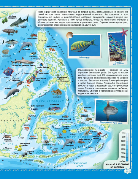картинка ОБИТАТЕЛИ МОРЕЙ И ОКЕАНОВ. АТЛАС