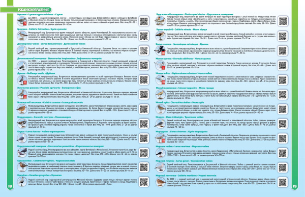 Птицы Беларуси. Атлас.