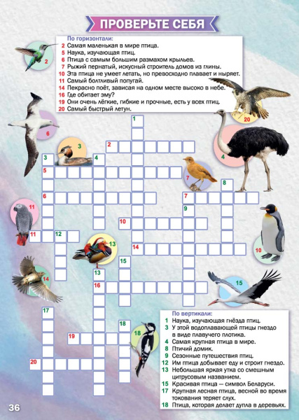 Атлас «Птицы мира»