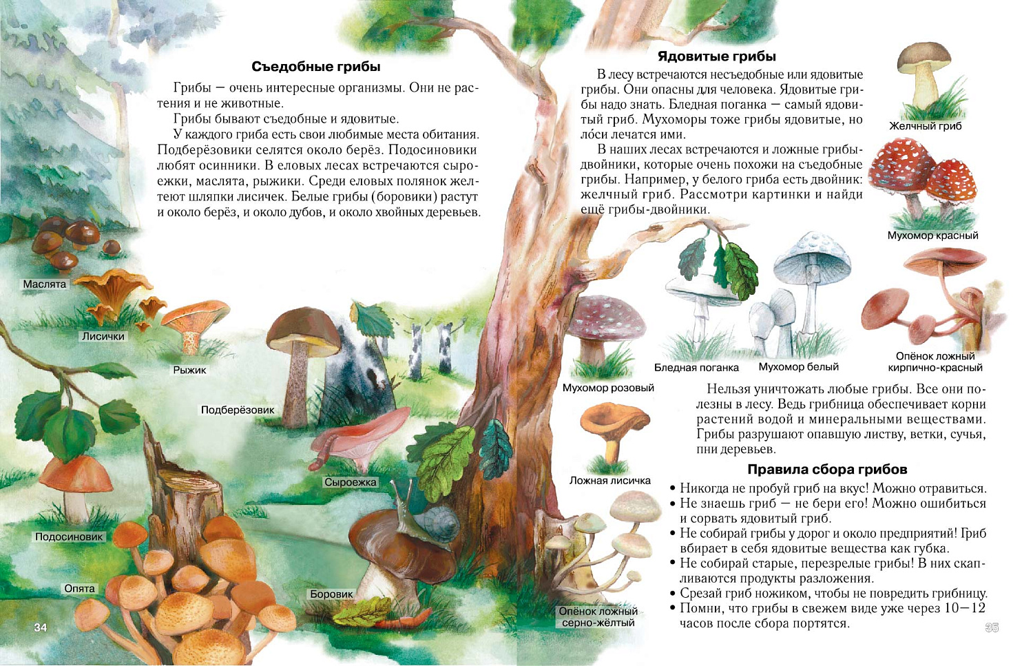 АТЛАС МИР ВОКРУГ НАС. 1-3 КЛАСС