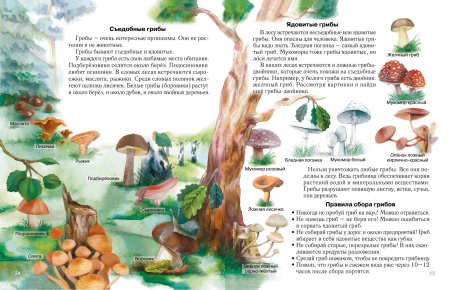 АТЛАС МИР ВОКРУГ НАС. 1-3 КЛАСС