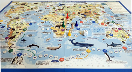 Карта-игра "От Антарктики до Арктики"