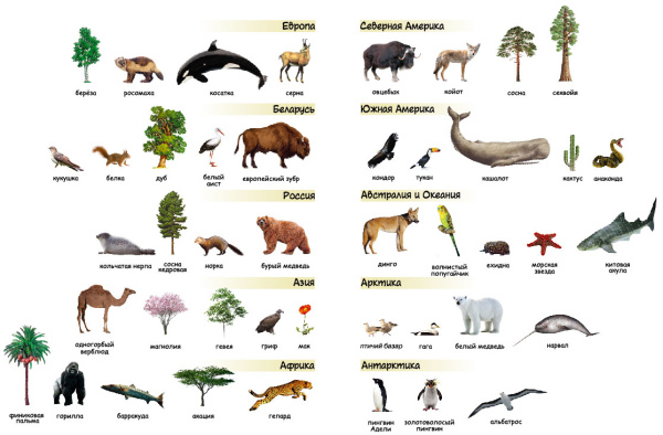 картинка РАСТЕНИЯ И ЖИВОТНЫЕ МИРА. АТЛАС С НАКЛЕЙКАМИ
