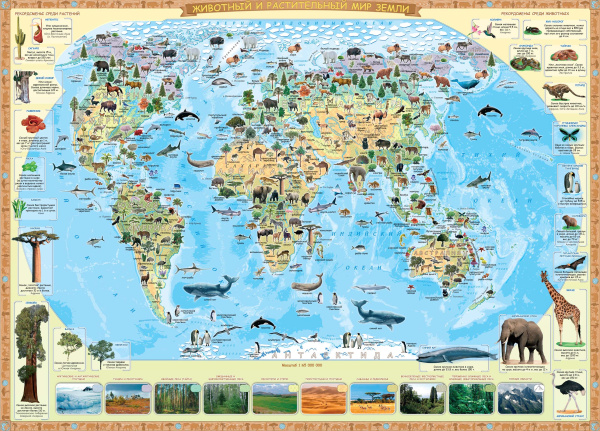 картинка ЖИВОТНЫЙ И РАСТИТЕЛЬНЫЙ МИР ЗЕМЛИ. КАРТА ДЛЯ ДЕТЕЙ