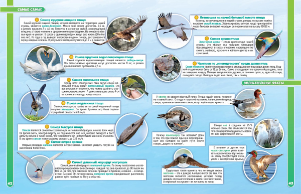 Птицы Беларуси. Атлас.