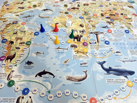 Карта-игра "От Антарктики до Арктики"