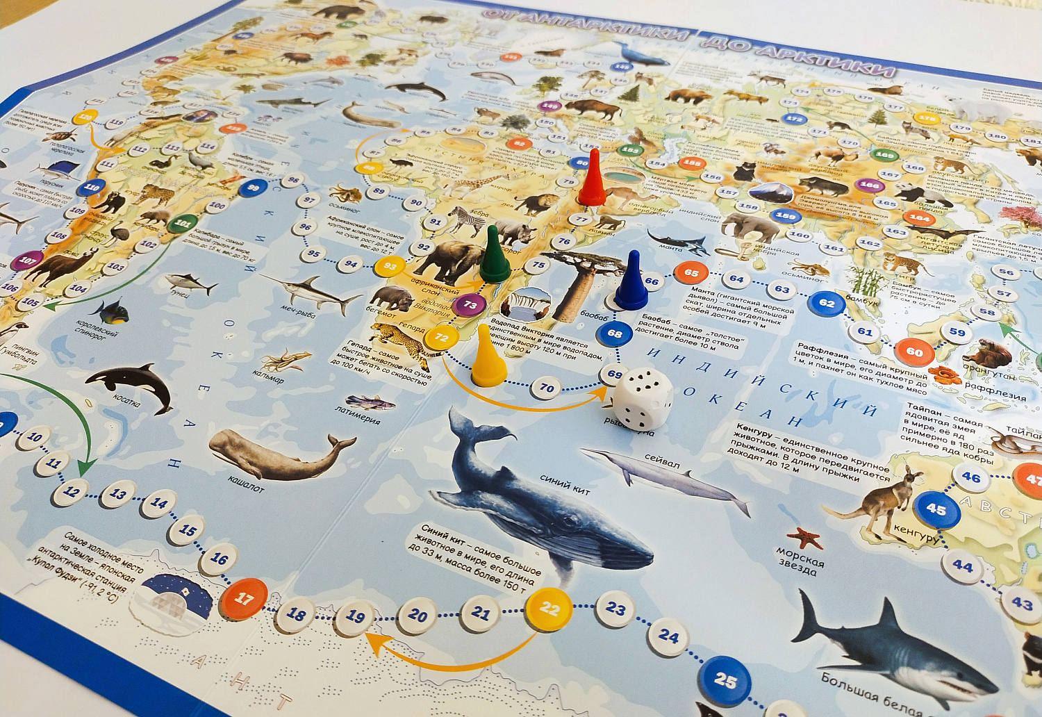 Карта-игра "От Антарктики до Арктики"