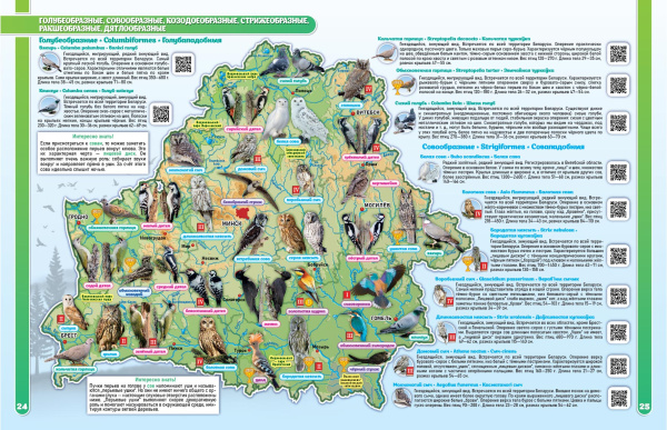 Птицы Беларуси. Атлас.